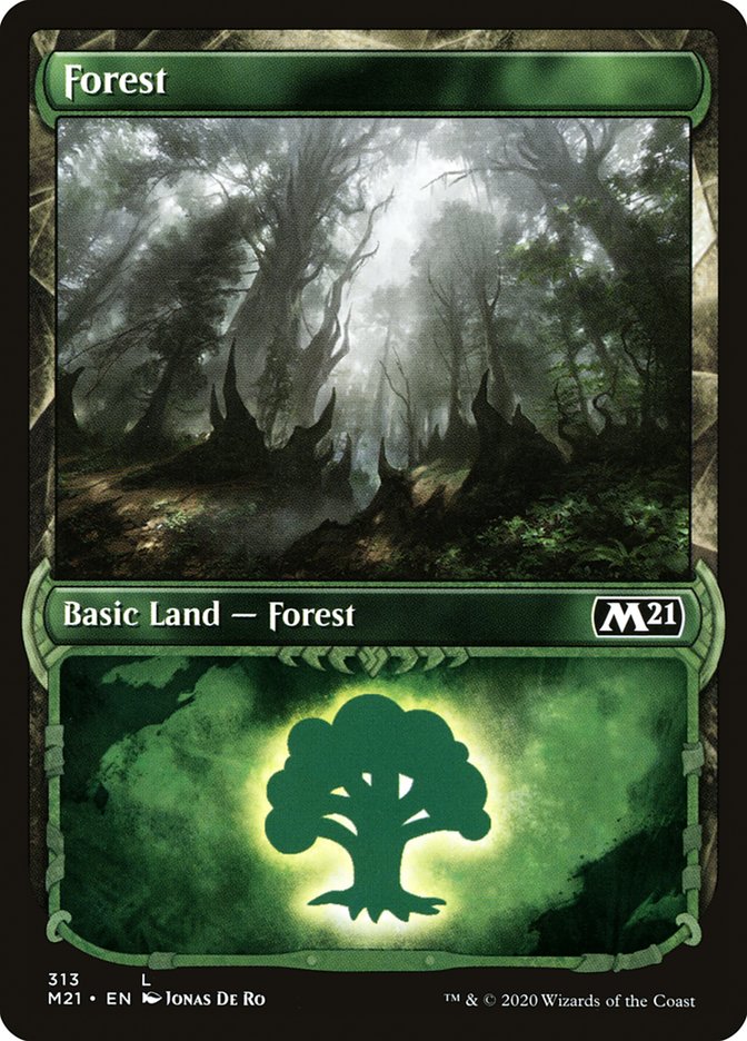 Forest (313) (Showcase) [Core Set 2021]